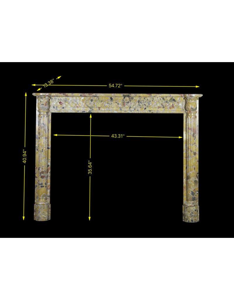 French Chique Marble Antique Fireplace Surround