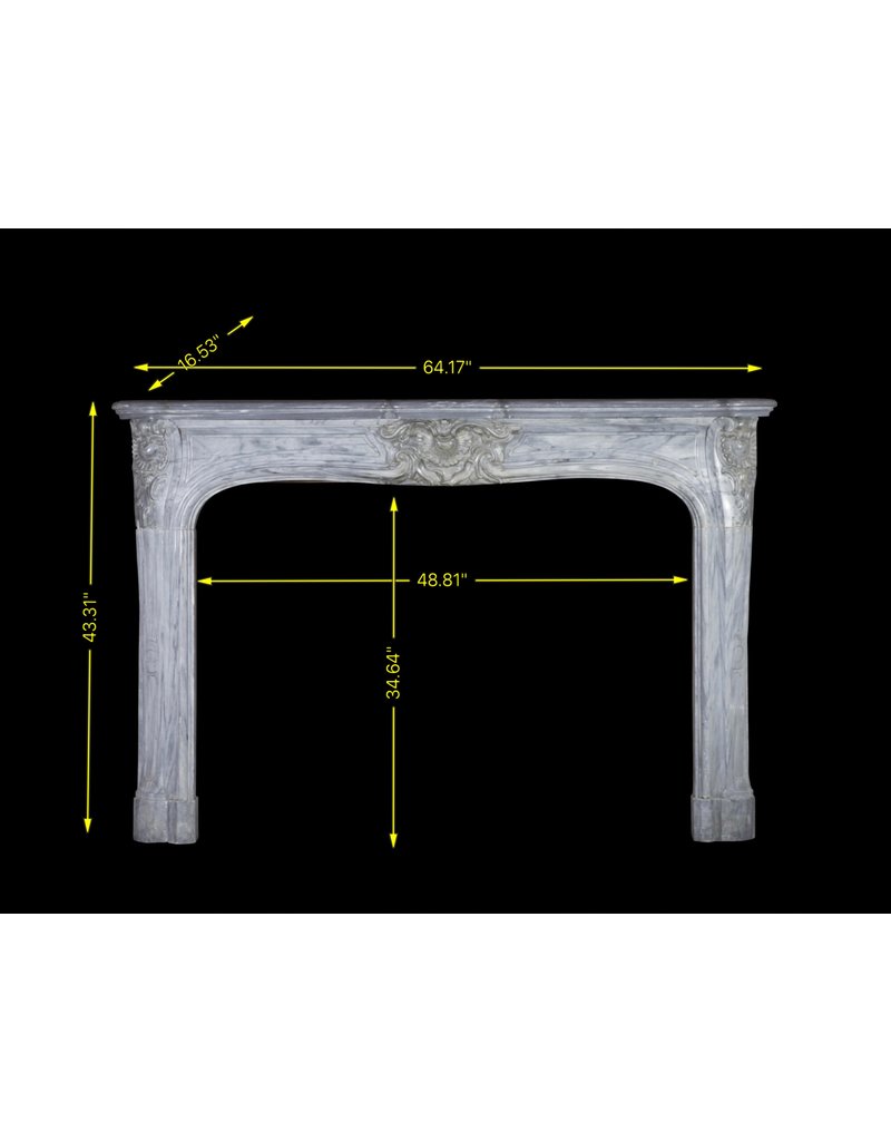 Grand 19Th Century Salon Fireplace Surround In Regency Style