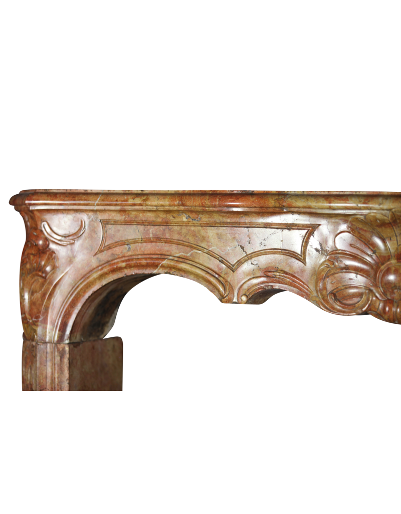 18Th Century Bicolor Stone Created By Nature French Fireplace Surround