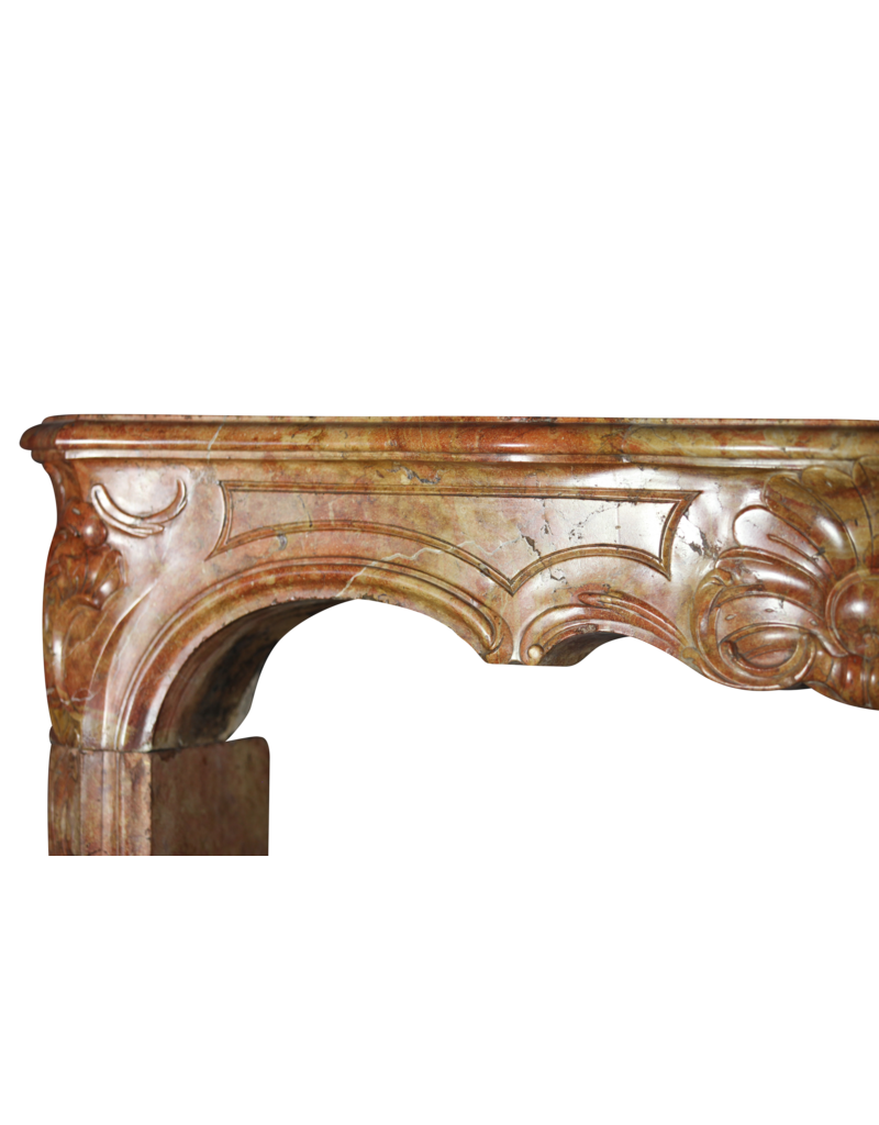 Maison Leon Van den Bogaert Von der Natur geschaffene französische Kaminumrandung aus zweifarbigem Stein aus dem 18. Jahrhundert