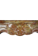 18Th Century Bicolor Stone Created By Nature French Fireplace Surround