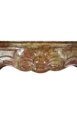 Maison Leon Van den Bogaert Von der Natur geschaffene französische Kaminumrandung aus zweifarbigem Stein aus dem 18. Jahrhundert
