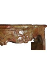 Maison Leon Van den Bogaert Von der Natur geschaffene französische Kaminumrandung aus zweifarbigem Stein aus dem 18. Jahrhundert