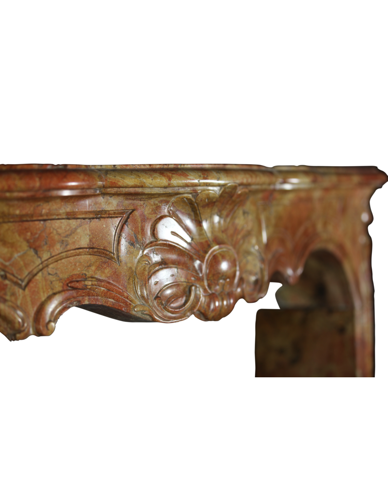 Maison Leon Van den Bogaert Von der Natur geschaffene französische Kaminumrandung aus zweifarbigem Stein aus dem 18. Jahrhundert