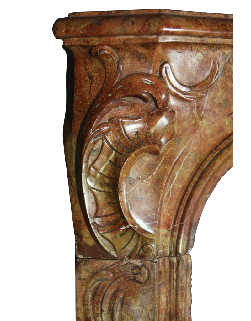 Maison Leon Van den Bogaert Von der Natur geschaffene französische Kaminumrandung aus zweifarbigem Stein aus dem 18. Jahrhundert