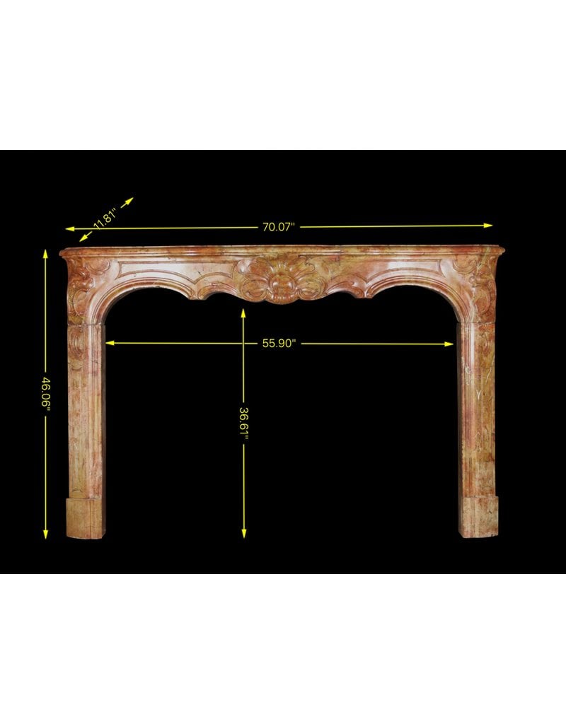 18Th Century Bicolor Stone Created By Nature French Fireplace Surround