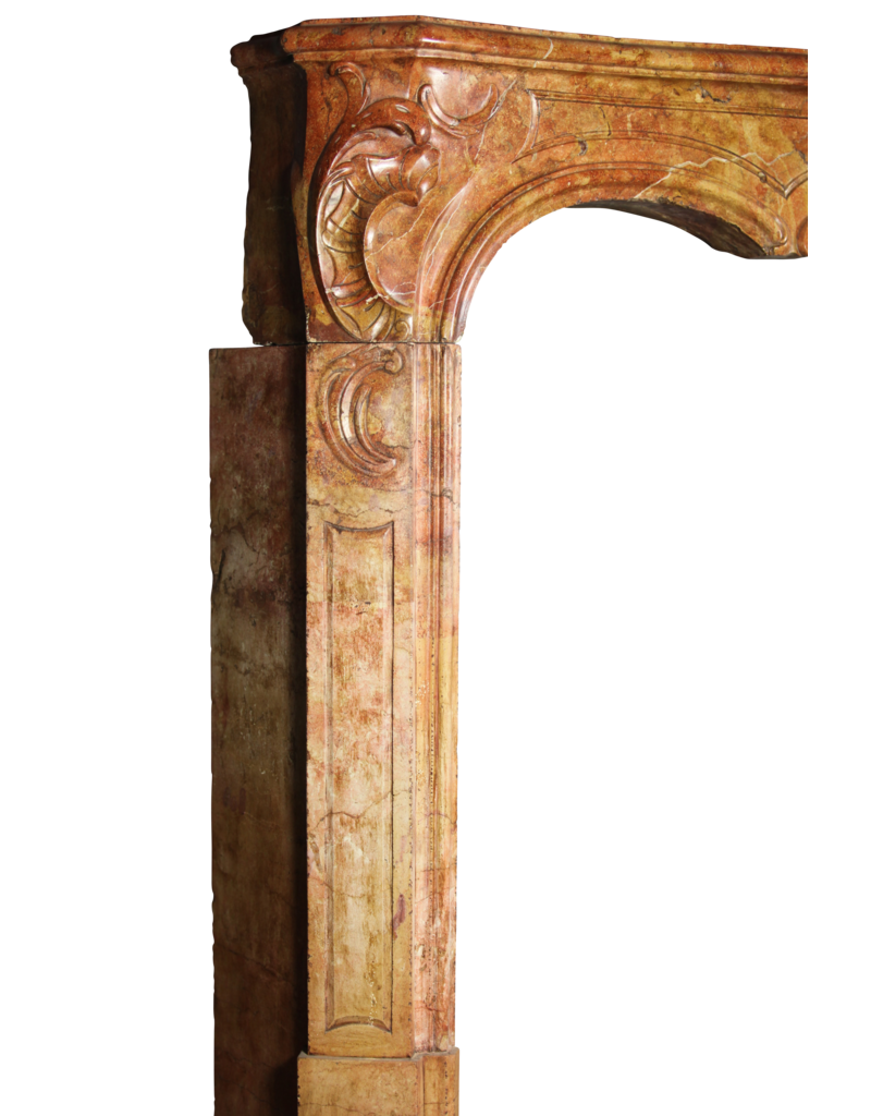 Maison Leon Van den Bogaert Von der Natur geschaffene französische Kaminumrandung aus zweifarbigem Stein aus dem 18. Jahrhundert