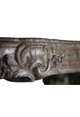 Regentschaft Periode Französisch Chique Land-Art-Antike Kamin Verkleidung