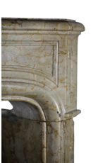 Chique 18Th Century Antique Marble Fireplace Surround