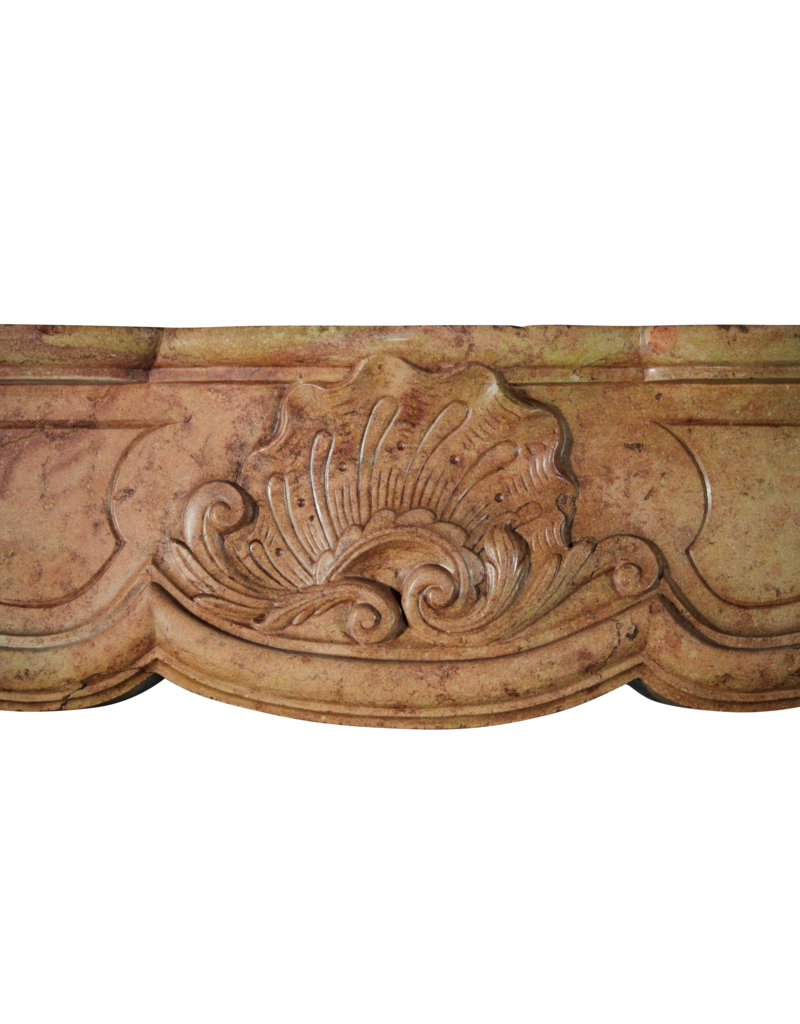 Regency Period French Chique Fireplace Surround