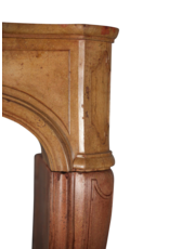 Maison Leon Van den Bogaert Elegante französische Kaminumrandung aus der Régence-Zeit