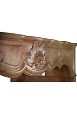 Regency Period French Chique Fireplace Surround