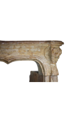 Maison Leon Van den Bogaert Elegante antike französische Kaminumrandung aus dem 18. Jahrhundert
