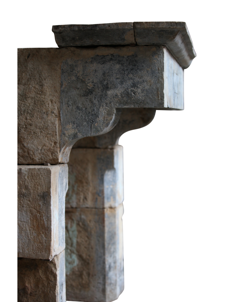 19. Jahrhundert Französisch Schloss-Art-Antike Kamin Verkleidung