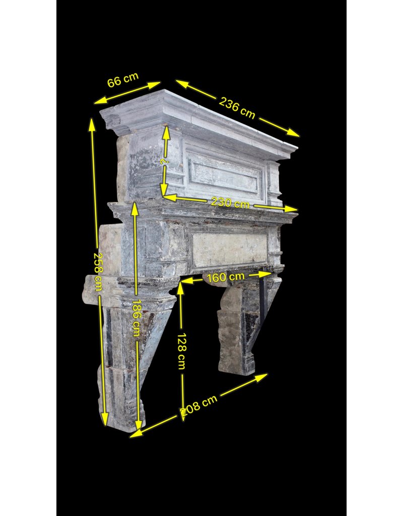 Gran Francés Chique Período Renaiscance Antiguo Revestimiento En Piedra Caliza