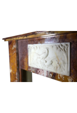 Fine Art Deco Period Antique Fireplace Surround In Onyx With Paradise Birds