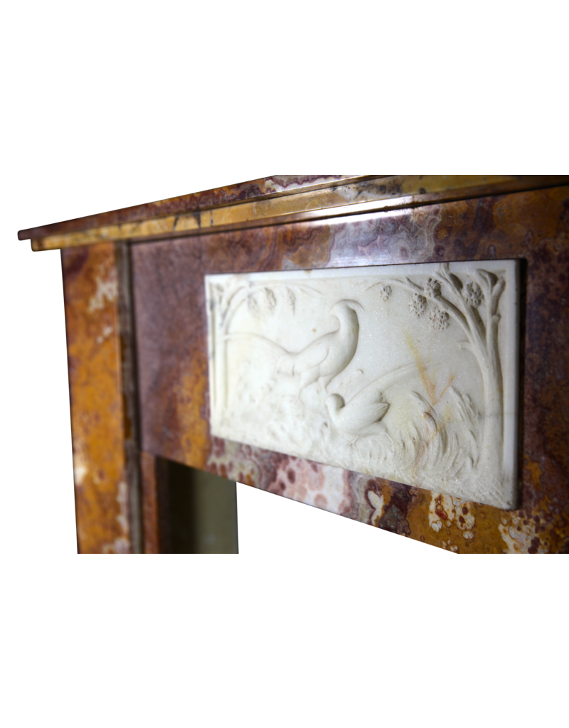 Maison Leon Van den Bogaert Fine Art-déco-Zeit antike Kaminumrandung in Onyx mit paradise birds