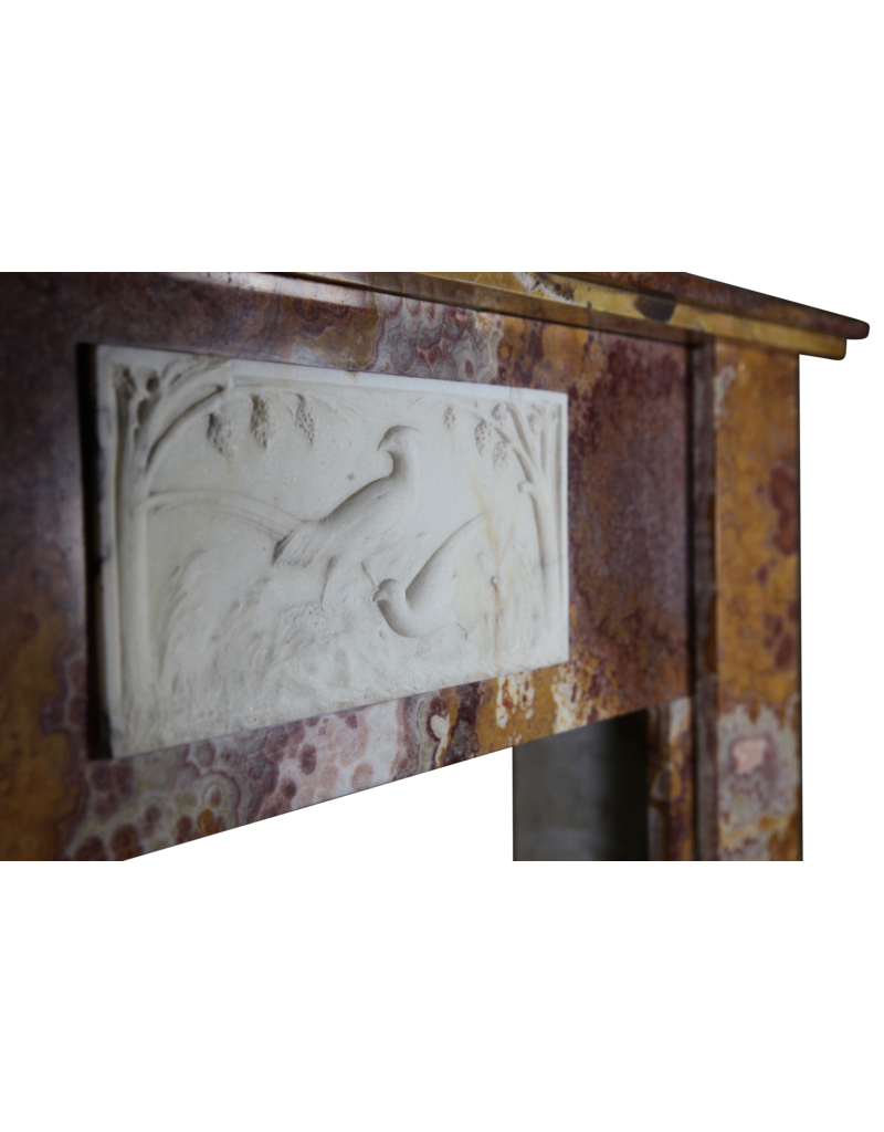 Maison Leon Van den Bogaert Fine Art-déco-Zeit antike Kaminumrandung in Onyx mit paradise birds