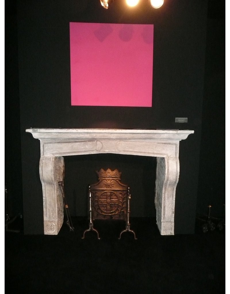 17Th Century Country Chique French Fireplace Surround