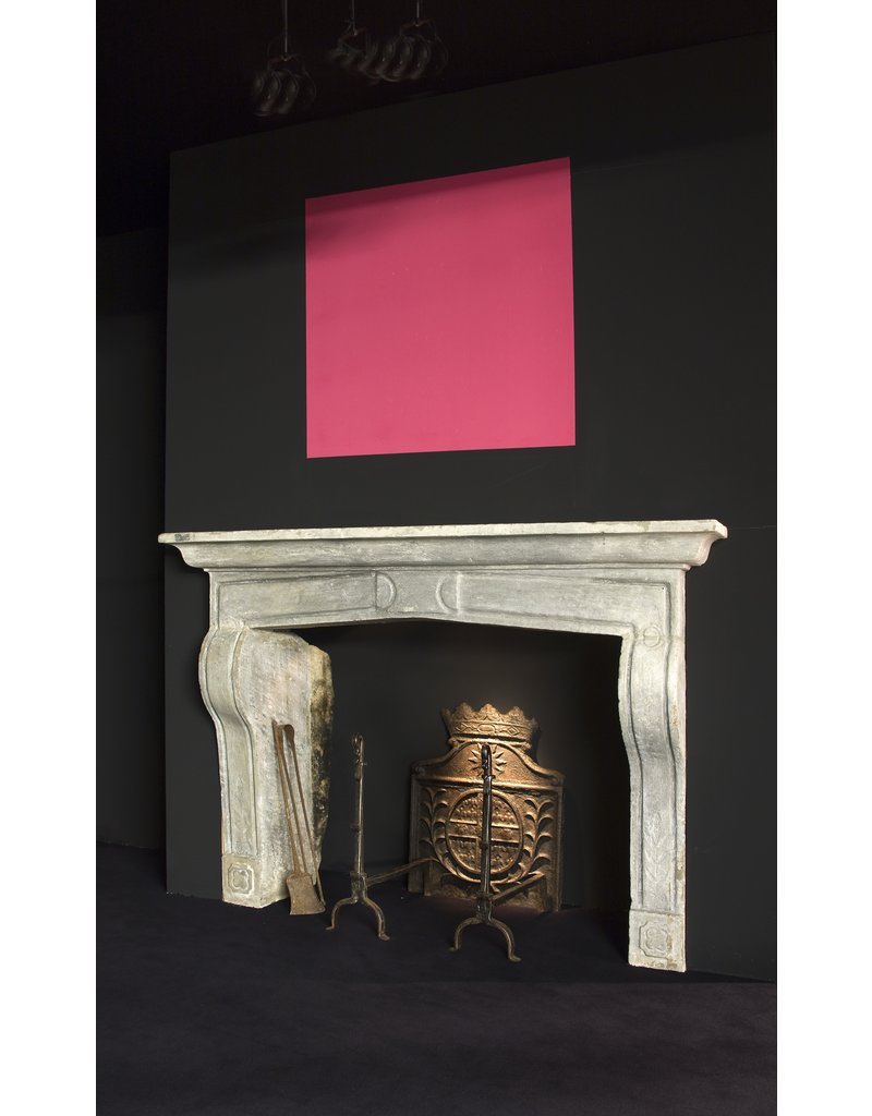 17Th Century Country Chique French Fireplace Surround