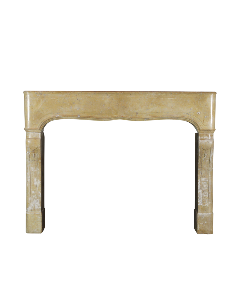 17Th Century Country Chique French Fireplace Surround