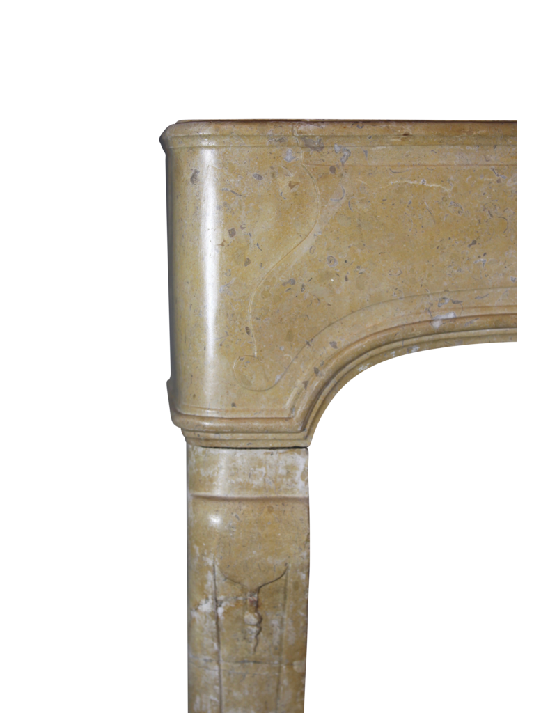 17Th Century Country Chique French Fireplace Surround