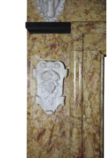 Maison Leon Van den Bogaert Klassische belgische Vintage-Kaminumrandung aus Marmor