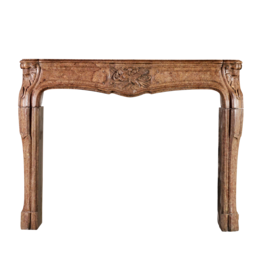 Chique Directoire Period Vintage Fireplace Surround