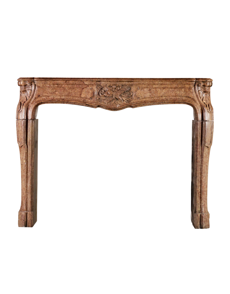 Chique Directoire Period Antique Fireplace Surround