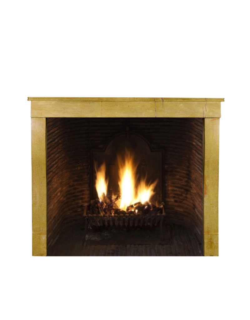 19Th Century Vintage Fireplace Surround