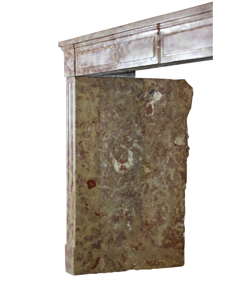 Maison Leon Van den Bogaert Grande cheminée vintage française bicolore en pierre bleue de Bourgogne