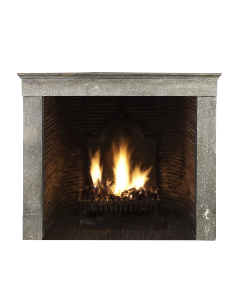 Maison Leon Van den Bogaert French Antique Fireplace Surround In Bicolor Stone