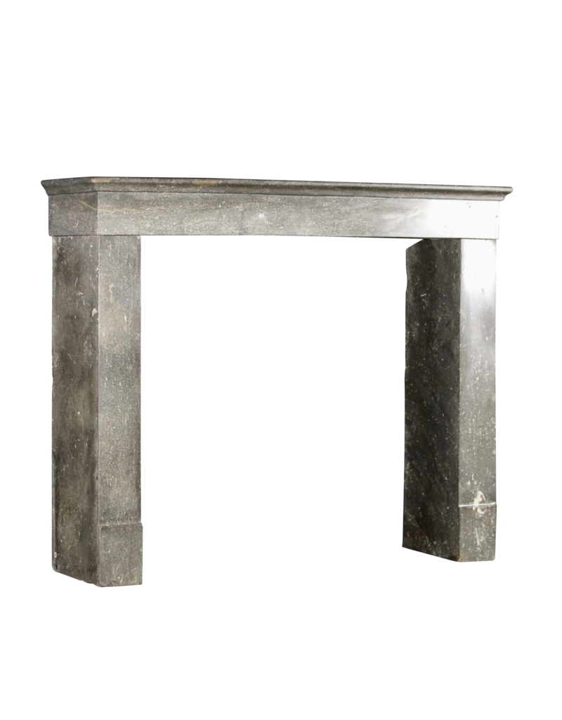 Maison Leon Van den Bogaert French Antique Fireplace Surround In Bicolor Stone