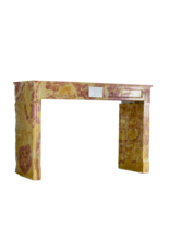 Maison Leon Van den Bogaert Antigua Chimenea De Estilo Luis XVI