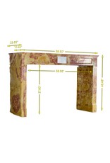 Maison Leon Van den Bogaert Antique Fireplace Surround Louis XVI Style