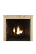 Vintage Fireplace Surround LXVI Style