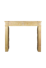 Vintage Fireplace Surround LXVI Style