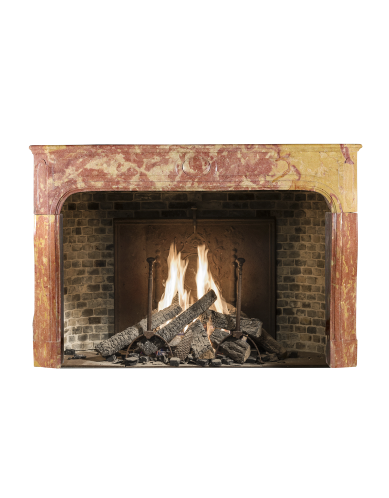 One Of A Kind French Vintage Fireplace Surround