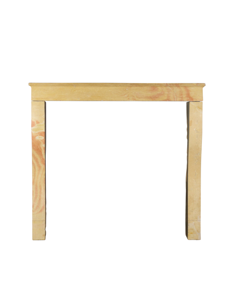 Maison Leon Van den Bogaert Elegante Alta Bicolor Piedra Dura Chimenea Vintage