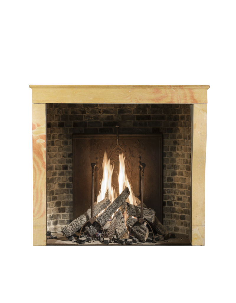 Elegant High Bicolor Hard Stone Vintage Fireplace Surround