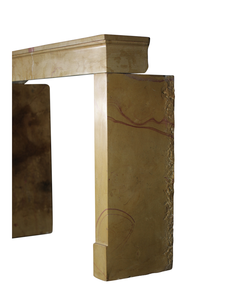 Maison Leon Van den Bogaert Fine Bicolor Antique Fireplace Surround