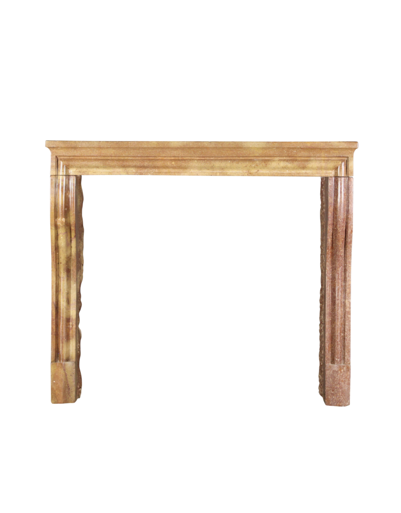 Maison Leon Van den Bogaert Vintage Kaminmaske in zweifarbigem Stein