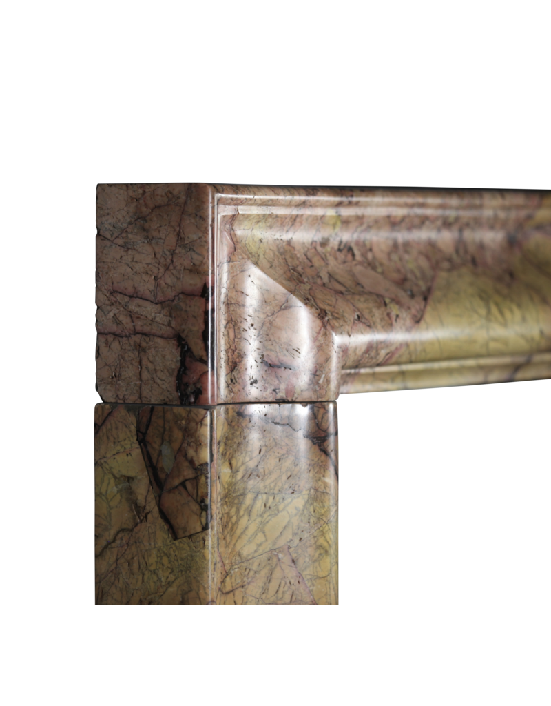 Maison Leon Van den Bogaert Opulente Bolection Kamin Maske Aus Antikem Marmor