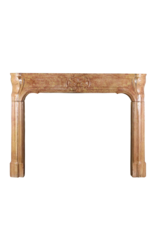 French Vintage Fireplace Surround