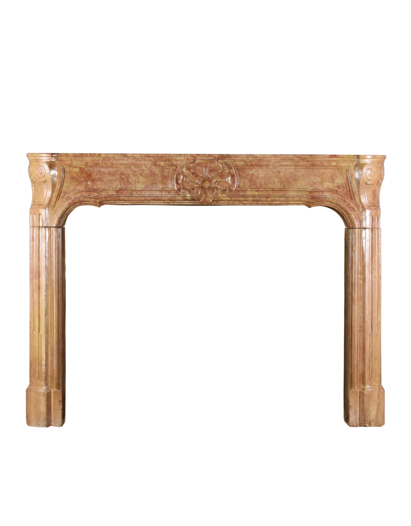 French Vintage Fireplace Surround