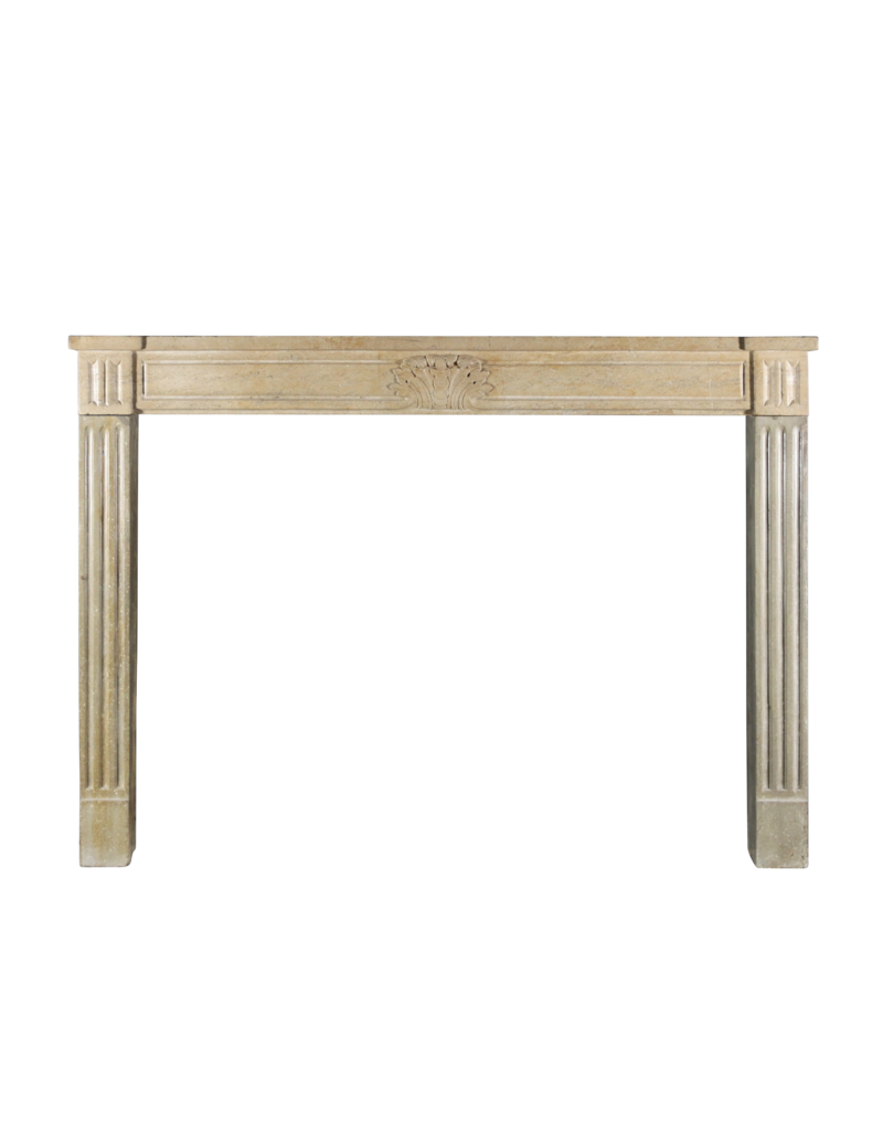 French Country Style Vintage Fireplace Surround In Bicolor Limestone