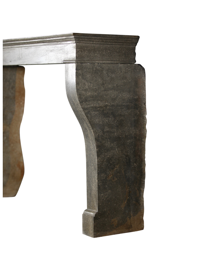 Cheminée Ornementale Vintage Bourgogne Deux Tons Du 19Ème Siècle, France