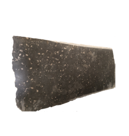 Maison Leon Van den Bogaert Grand Fossil Stone Slab For Table