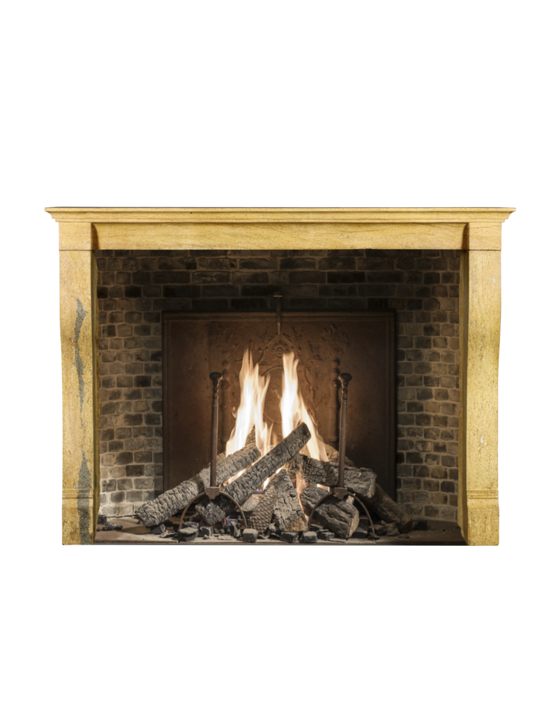 French Bicolor Stone Louis Philippe Period Fireplace Surround