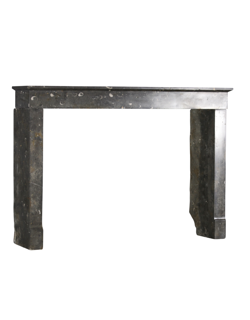 17Th Century Period Timeless Chic Fossil Marble Stone Fireplace Surround